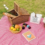 🍒 Picnic Like a Bombshell: Cherry-Inspired Alfresco Essentials 🍒