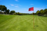 Top Golf Bags and Carts for Easy Transport