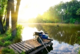 Best Fishing Rods for Every Angler
