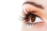 Find the Best Lash Serums for Longer, Fuller Lashes