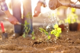 Top Gardening Tools to Make Your Garden Summer-Ready