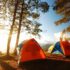 Essential Summer Picnic Gear for a Perfect Outdoor Feast