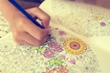 Celebrate Coloring Book Day: Top Picks and Essential Supplies for Coloring Enthusiasts