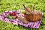 Celebrate Picnic Day in July with These Essential Finds!
