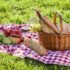 Celebrate Hot Dog Day with These Must-Have Essentials!