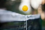 High-Performance Pickleball Paddles for the Win
