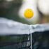 Pickleball Gear to Boost Your Skills